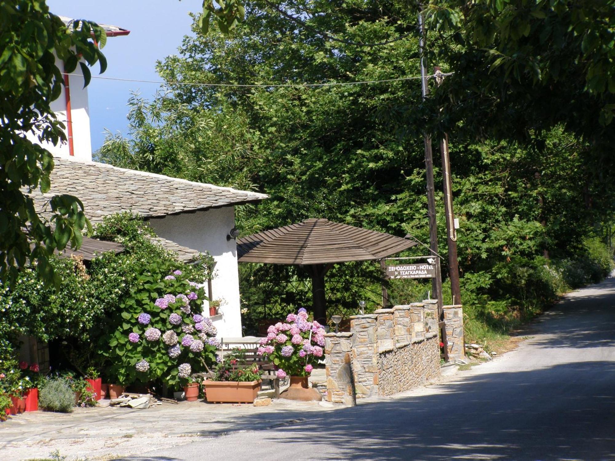 Hotel Tsagarada Exteriér fotografie